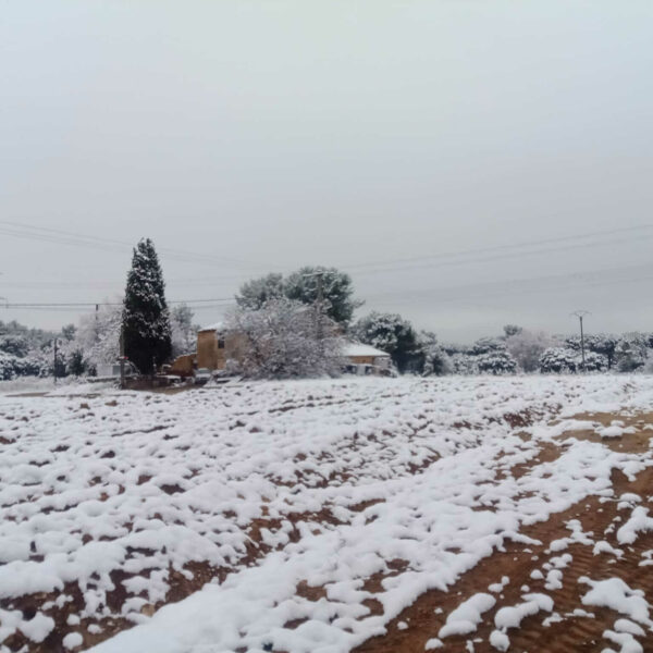Batisse sous la neige